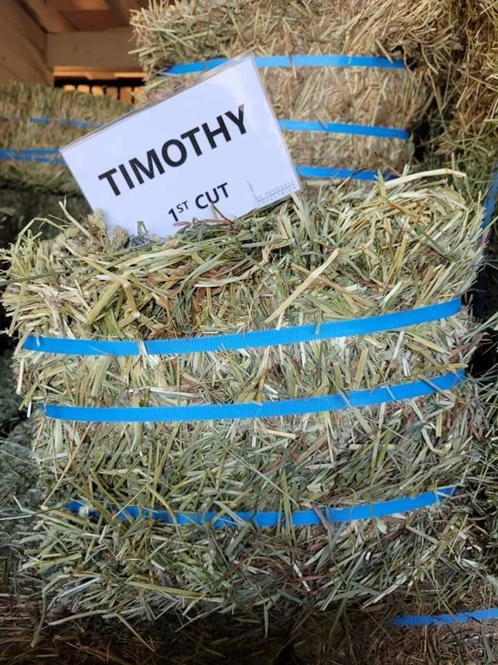 Timothy Hay 50-55lbs