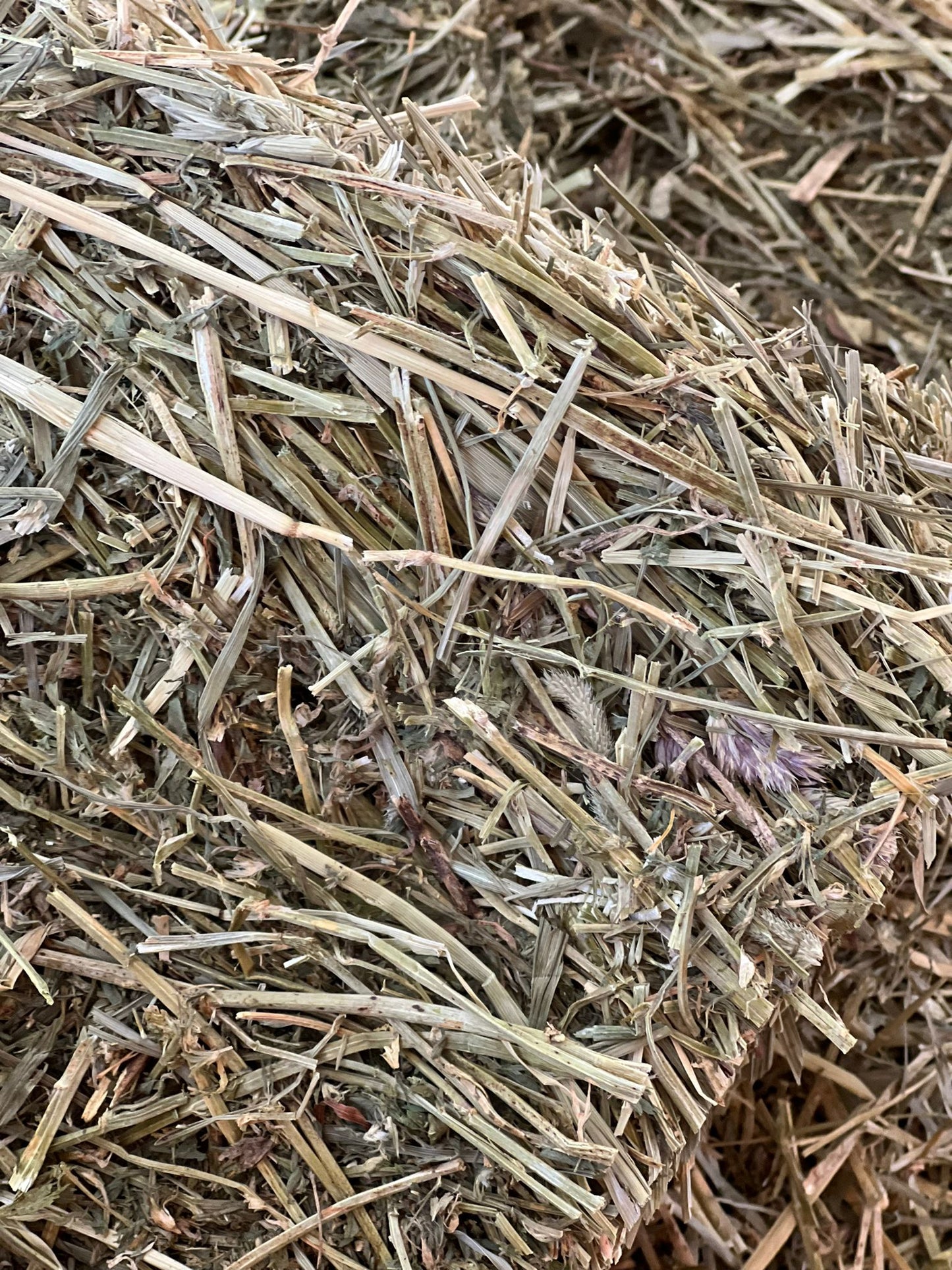 Alfalfa Hay 50-55lbs