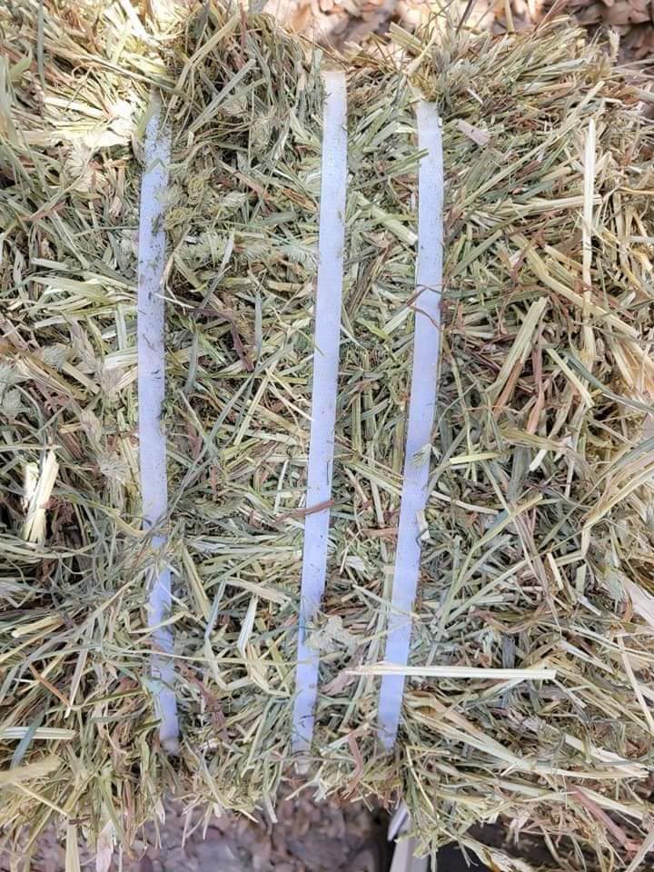 Orchard Hay 50-55lbs