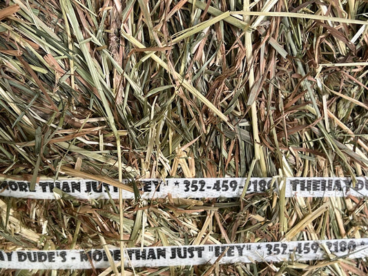 T&O Hay 50-55lbs