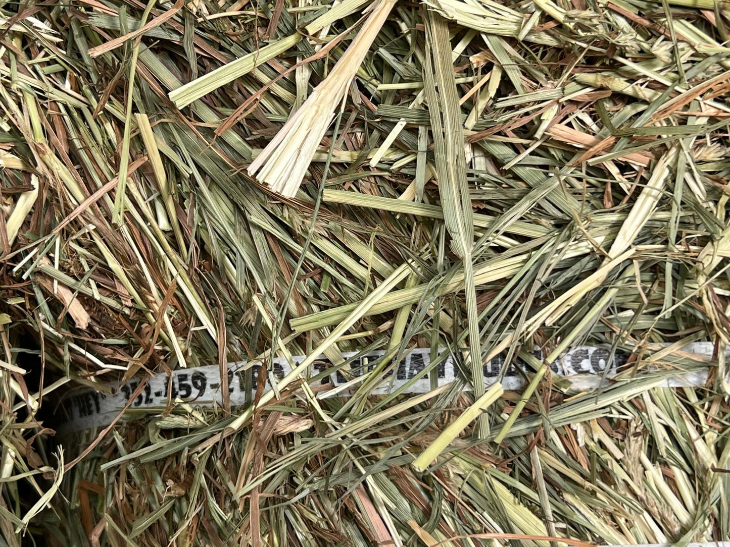 T&O Hay 50-55lbs