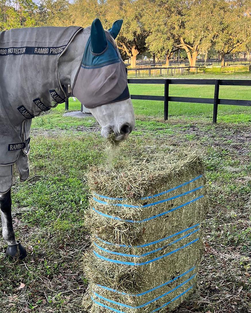 Orchard Hay 200-220lbs