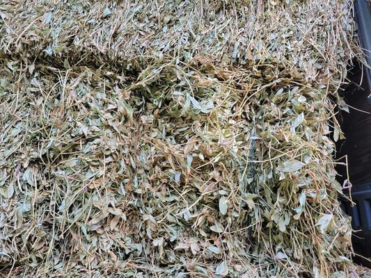 Perennial Peanut Hay 50-55lbs